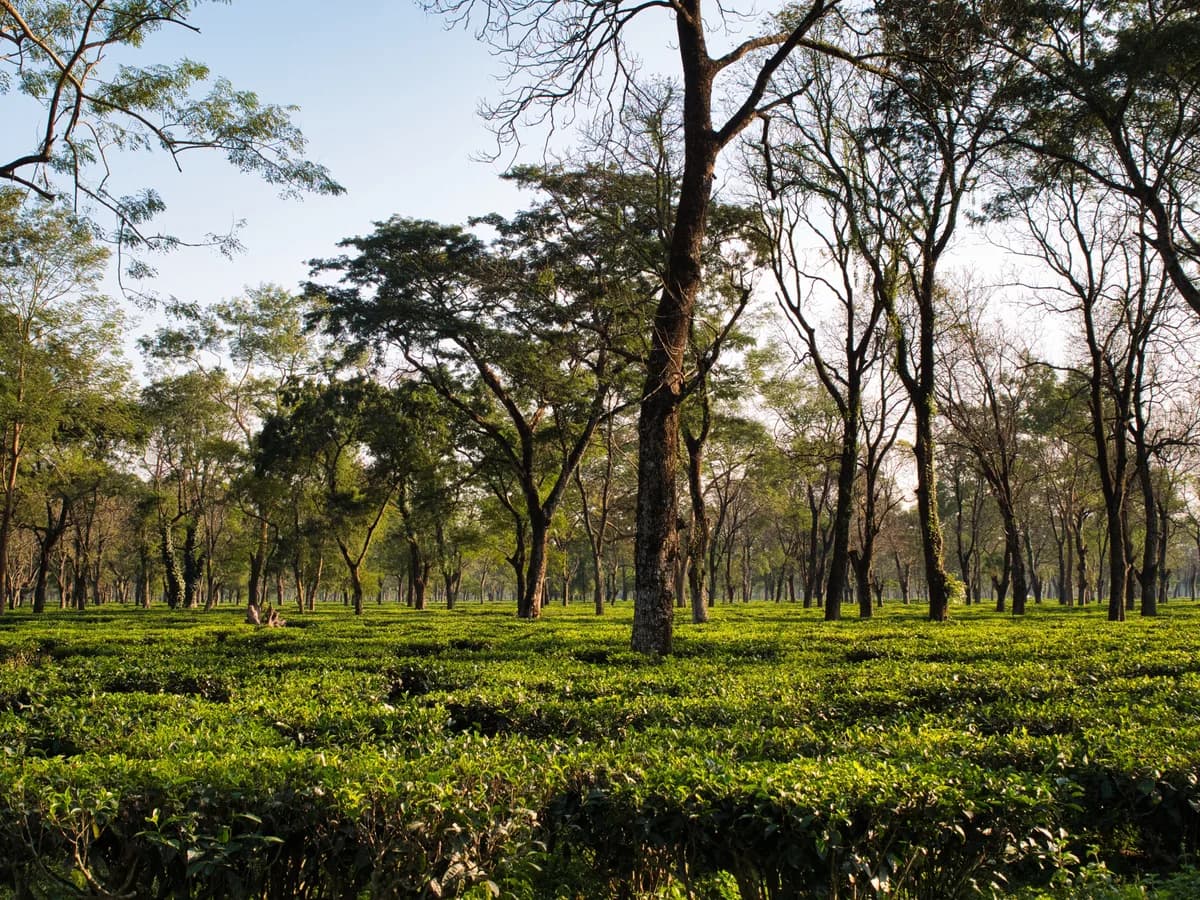 Solo Travelers & Small Group Discoveries